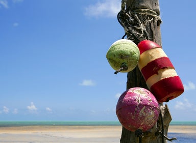 Colorful buoys wrapped around wooden pole